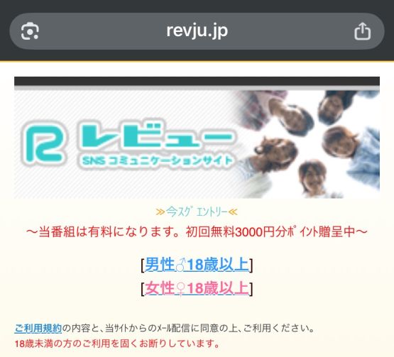 レビュー（revju.jp） 詐欺